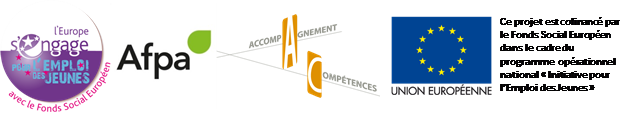 LE DISPOSITIF ACCOMPAGNEMENT - COMPÉTENCES IEJ